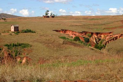 Partout l’érosion creuse la terre de l’île rouge.