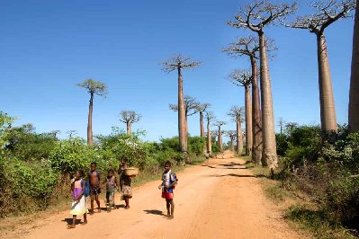 Piste des tsinguys, quelques enfants reviennent de l’école.