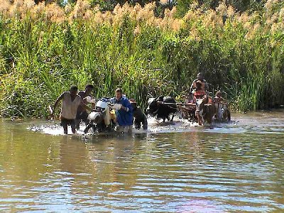 P2005-06mada-SONY204.JPG (104.66 Kio) Vu 17116 fois Traversé d’un profond marigot avant le bac sur la Mangoky..