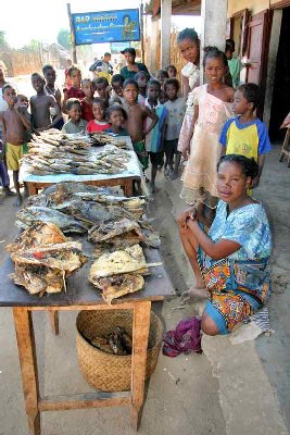 Poissons séchés. Comment ?, il n’est pas frais mon poisson !!!