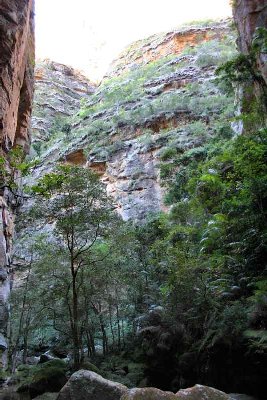 Canyon des makis.