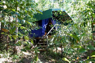 Tentes sur pilotis dans les bois.