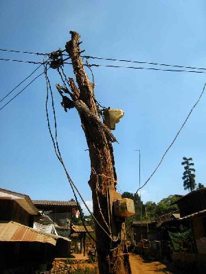 Mae Ruam, électricité aux normes ?