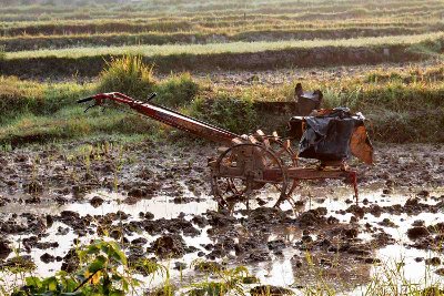 machine agricole très rependue dans le pays