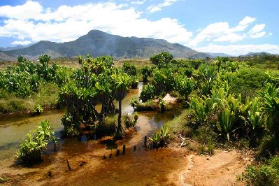 paysage de l'étroite bande côtière