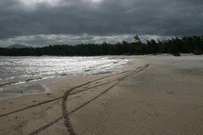 trop top de rouler librement sur le sable dur ,nos traces seront effacées dans quelques heures par la marée
