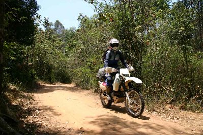 piste vers la forêt primaire de Lémur Forest