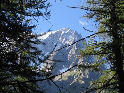 Les Grandes Jorasses