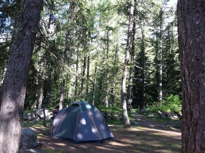 Les Grandes Jorasses se trouvent juste derrière ces quelques sapins