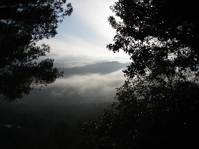 Y'a d'la brume!.jpg