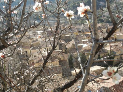 Moustiers ste Marie