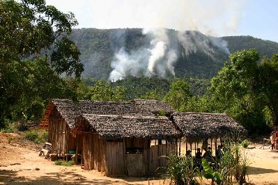 Toujours la déforestation, ils ne pourront bientôt plus scier la branche sur laquelle ils sont assis vu qu’il n’y aura plus d’arbres !!