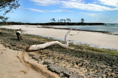 Un 350DR qui fait bronzette à la plage